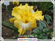 Mandalay%20Bay%20%7Bf%7D%20.jpg