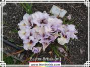 Easter%20Break%20%7Bm%7D%20.jpg