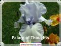 Palace%20of%20Thoughts%20.jpg