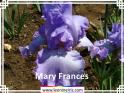 Mary%20Frances%20.jpg