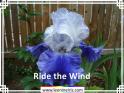 Ride%20the%20Wind%20.jpg