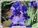 Intuition%20.jpg