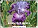 Lucille%20Richardson%20.jpg