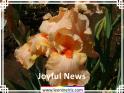 Joyful%20News%20.jpg